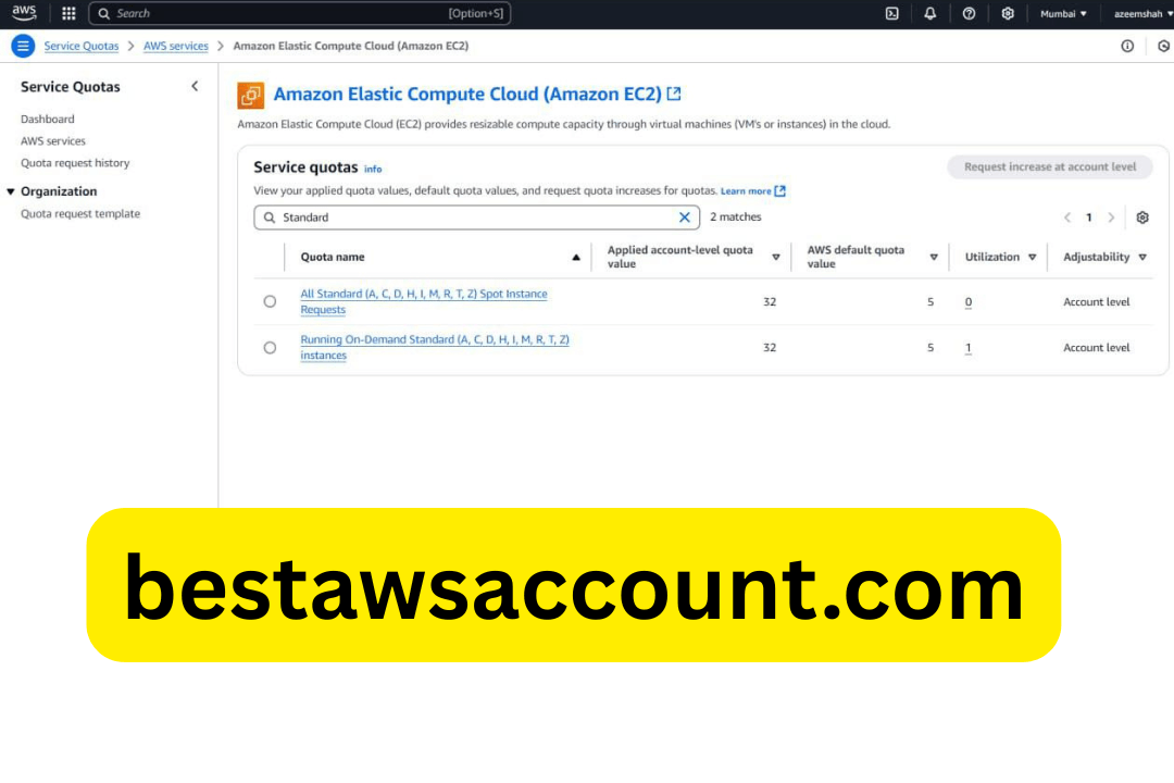 buy aws 32 vcpu account
